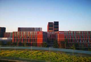 山东2-甲基6-硝基苯胺