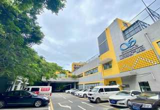 辽源牵牛花设计