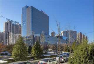 西安压纹软木墙纸定制加工