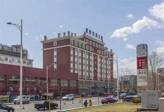 广东果岭草坪批发价