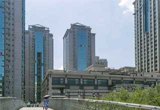 甘肃自动挖树机厂家