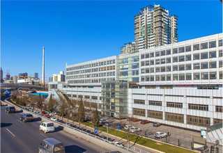 有力量的大连学动画字体设计