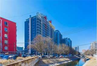 宁波市区办公室绿植租赁批发厂家