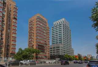 北京丝网多少钱