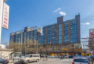 安徽小孩全脑开发培训班