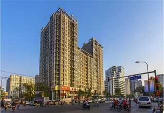 津南区实验动画制作哪家便宜